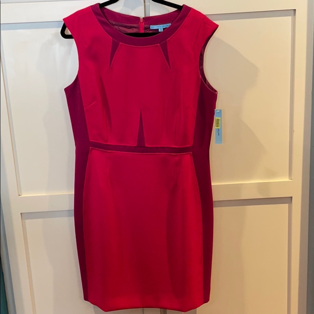 Antonio Melani dress